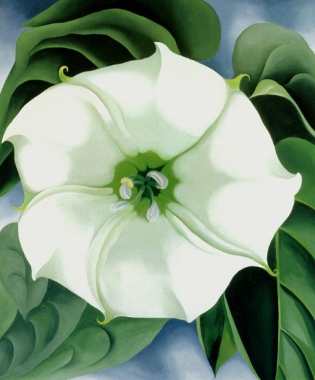 Georgia O'Keeffe Jimson Weed, 1932