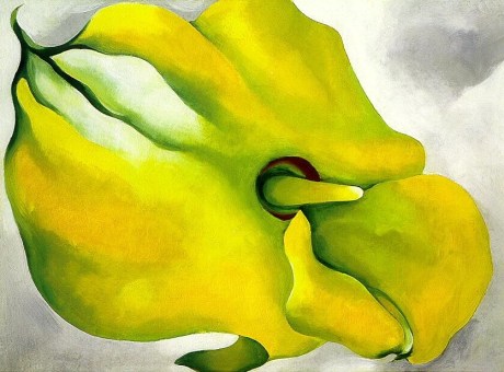Georgia O'Keeffe Yellow Calla 1926
