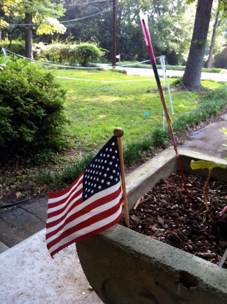 badminton american flag