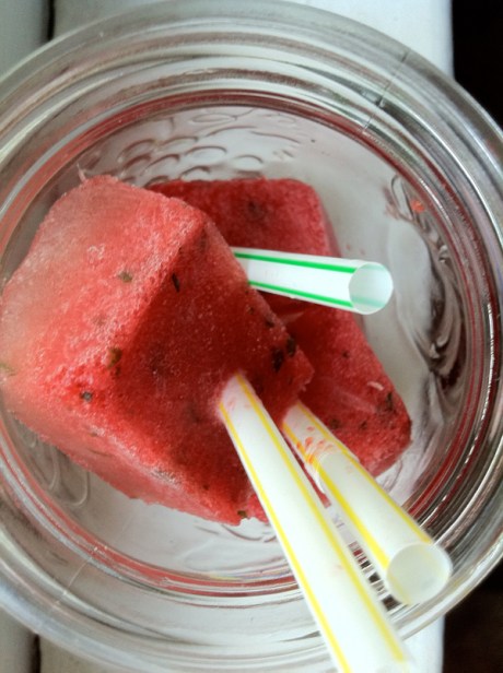 watermelon vodka pops 3