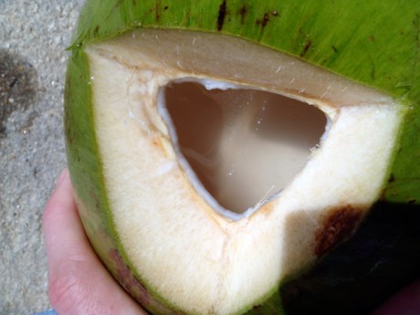 coconut water Rio de Janeiro