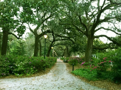 Savannah, Georgia, March 2011