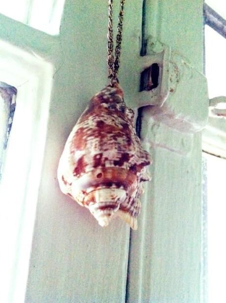 Nana's shell necklace
