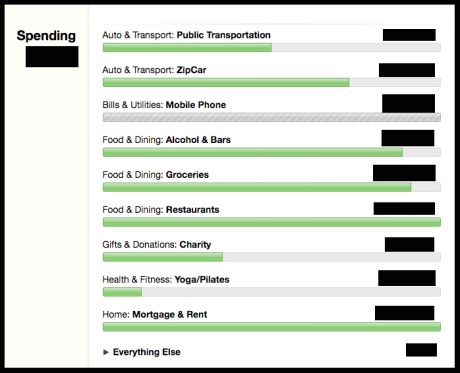 Mint.com budget for August 2011
