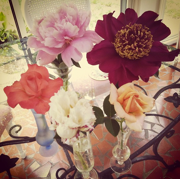 Nana's flowers. This beauty doesn't happen without work.