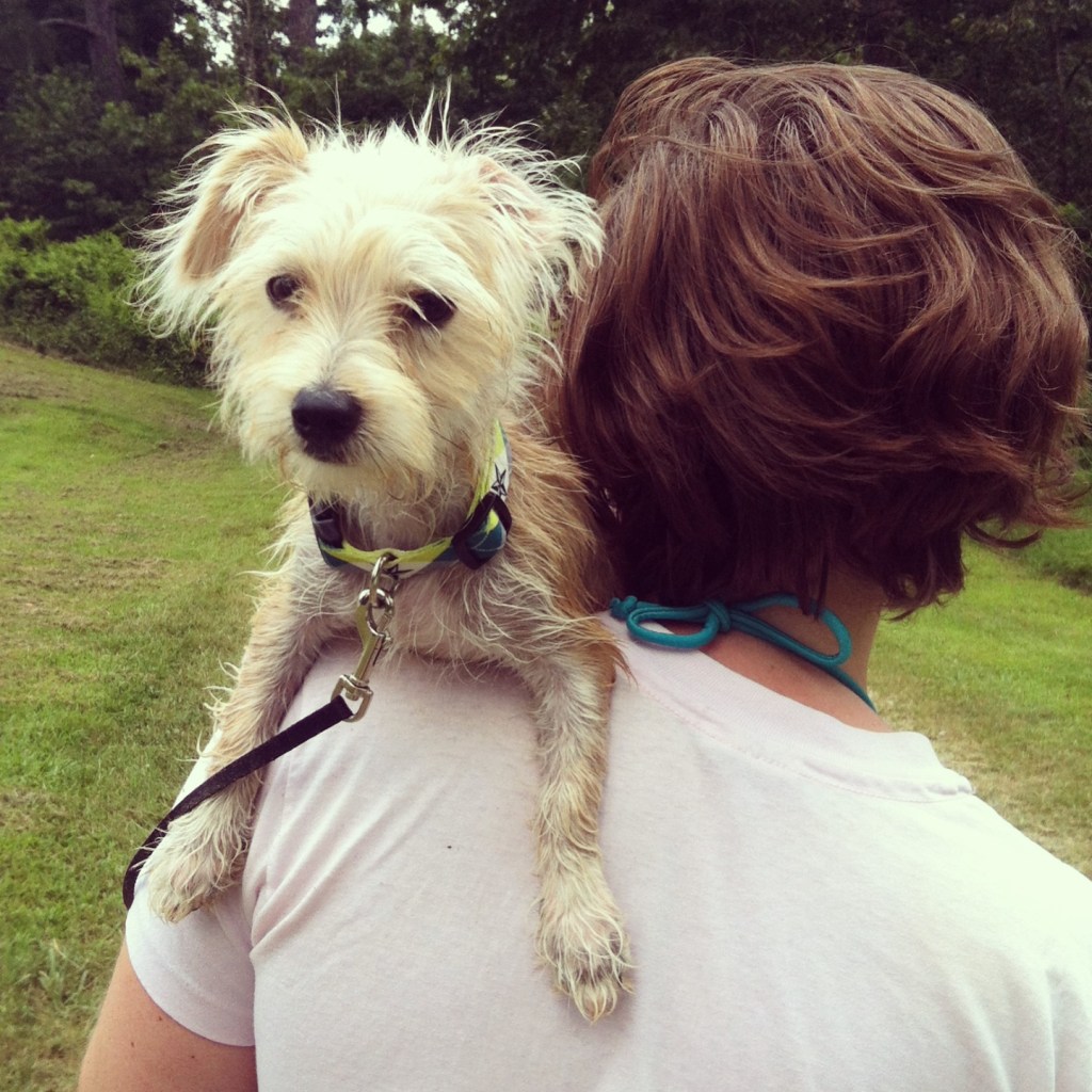 ollie_north_georgia2