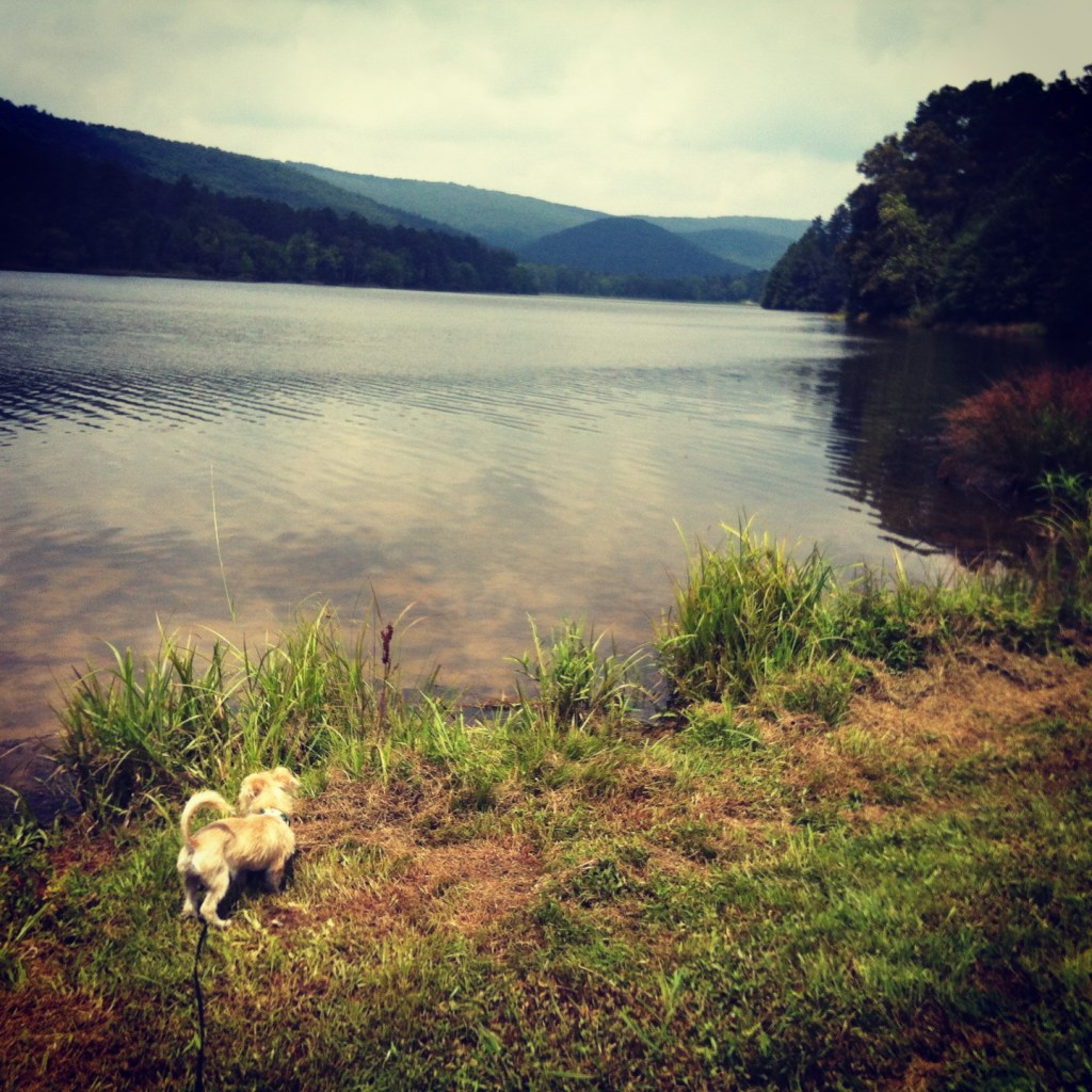 ollie_north_georgia3