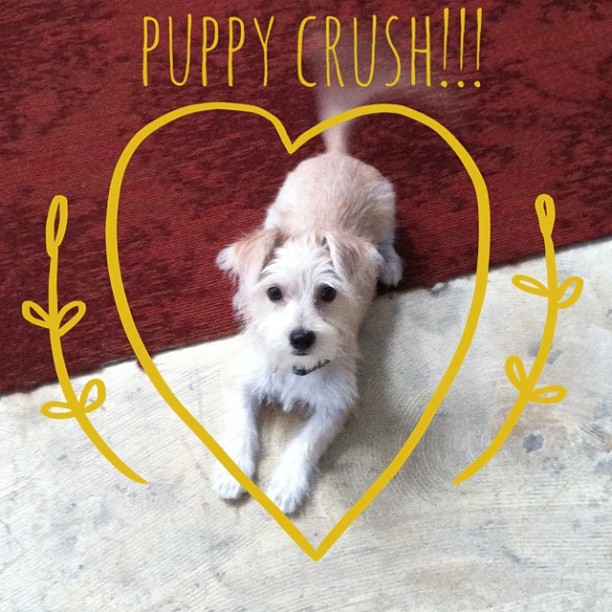 Treatment by Francis Matia Styons of SolDesign!