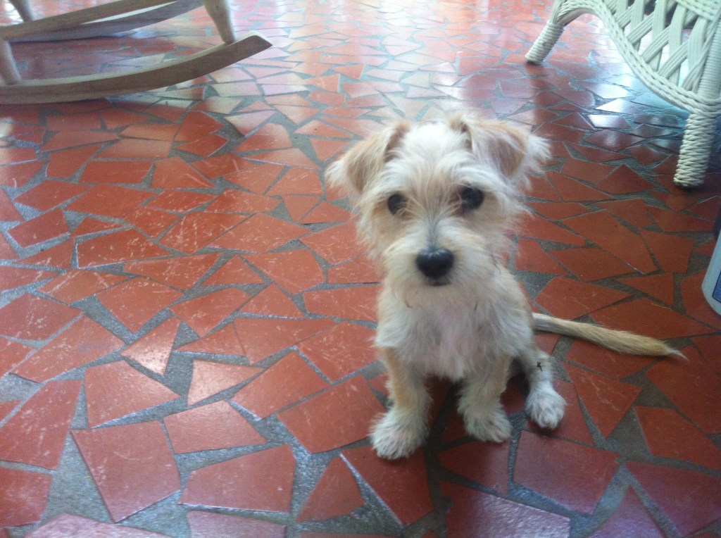 Oliver Monet Beignet, Day 2