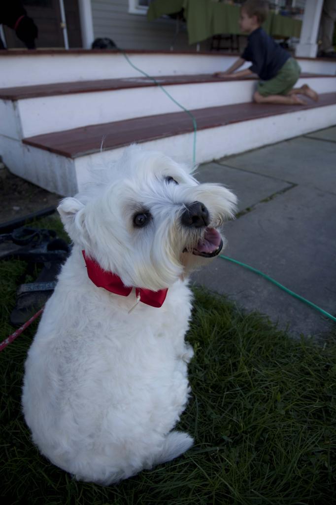 Photo by Kelsey Kent