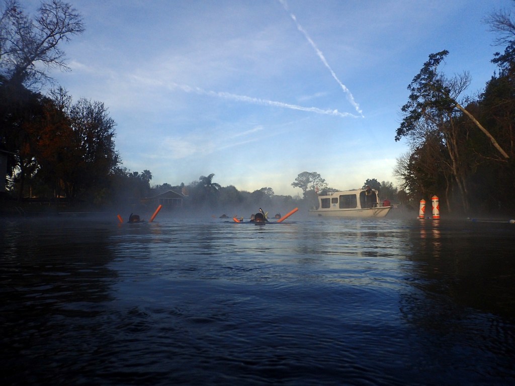Noodles to float were a must – you didn't want to kick around and scare the manatees! 
