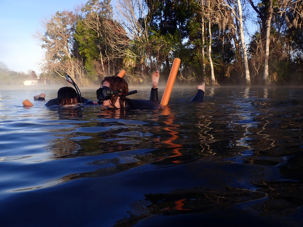 Here I'm desperately trying to keep my feet above water because there were so many manatees beneath us! Because the water was murky, we couldn't see them until they were nearly touching us. 