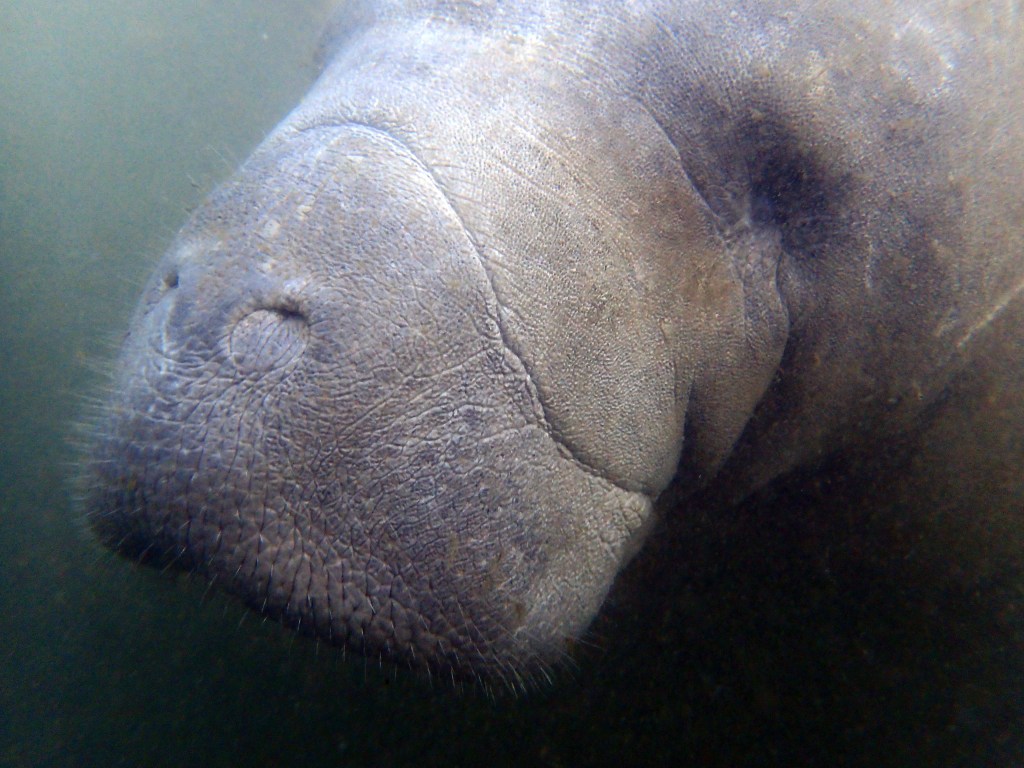 See? That's soul-staring. 