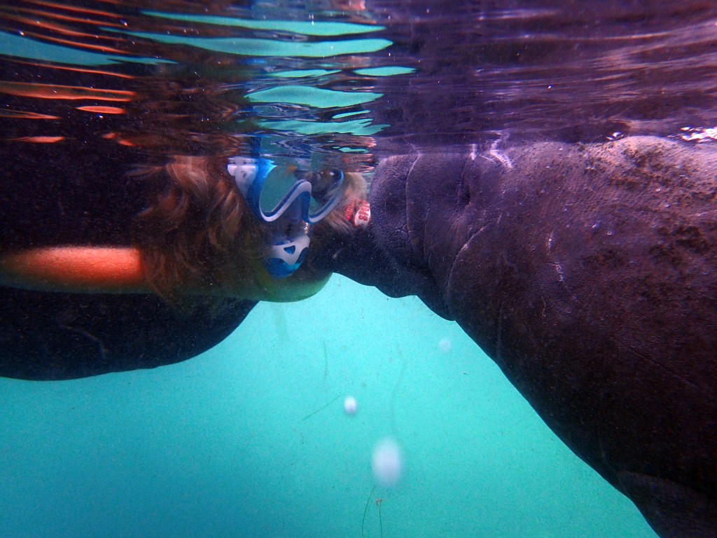 What did I tell you? They love direct eye contact!